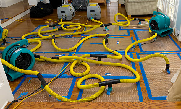 Professional Burst Pipe Water Damage technician working in Oak Grove, KY